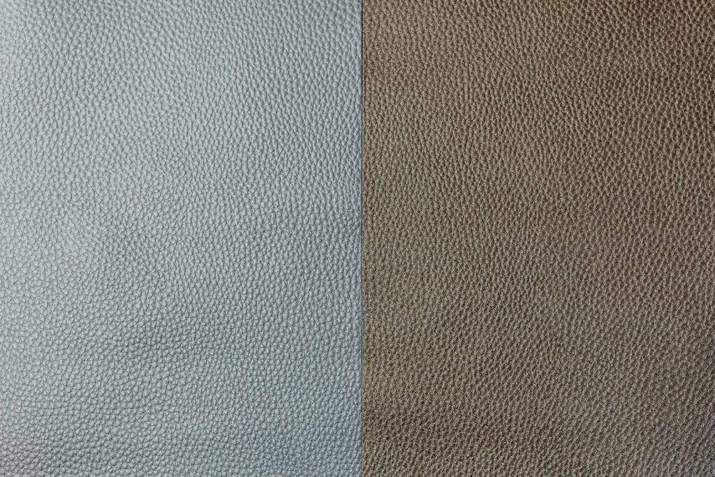 Himalaya Crocodile Bag: The Famous Gradient, Explained